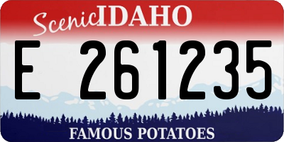 ID license plate E261235
