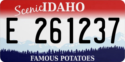 ID license plate E261237
