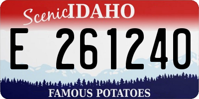 ID license plate E261240
