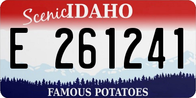 ID license plate E261241