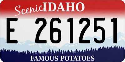 ID license plate E261251