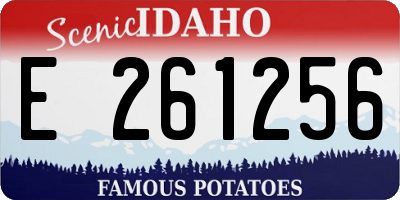 ID license plate E261256
