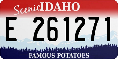 ID license plate E261271
