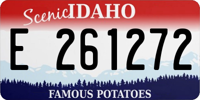 ID license plate E261272