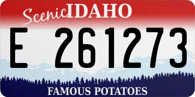 ID license plate E261273