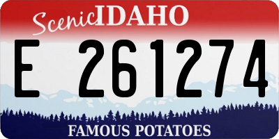 ID license plate E261274