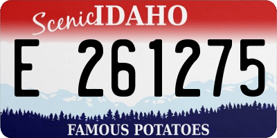 ID license plate E261275