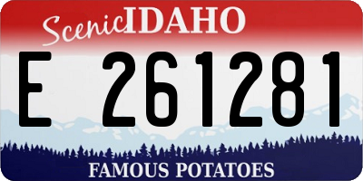 ID license plate E261281