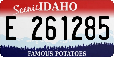 ID license plate E261285