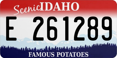ID license plate E261289