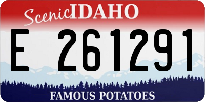ID license plate E261291