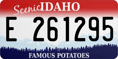ID license plate E261295
