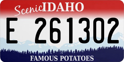ID license plate E261302