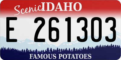 ID license plate E261303