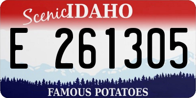 ID license plate E261305