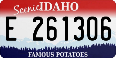 ID license plate E261306