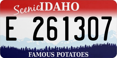 ID license plate E261307