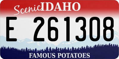 ID license plate E261308