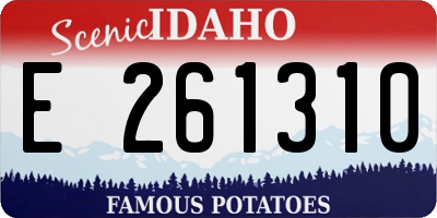 ID license plate E261310
