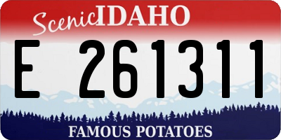 ID license plate E261311