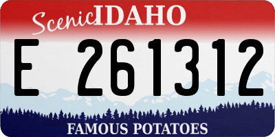 ID license plate E261312