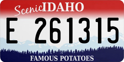ID license plate E261315