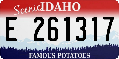 ID license plate E261317