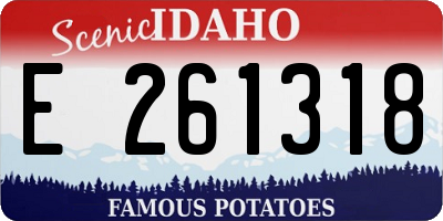 ID license plate E261318