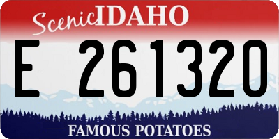 ID license plate E261320