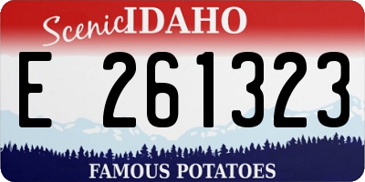 ID license plate E261323