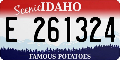 ID license plate E261324