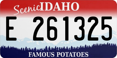 ID license plate E261325