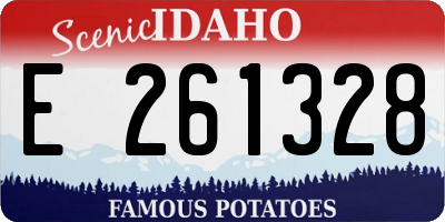 ID license plate E261328