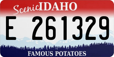 ID license plate E261329