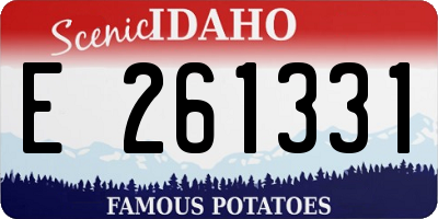 ID license plate E261331