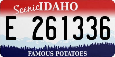 ID license plate E261336