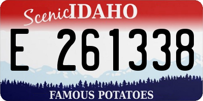 ID license plate E261338