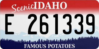 ID license plate E261339