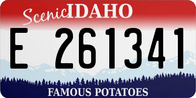 ID license plate E261341