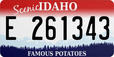 ID license plate E261343