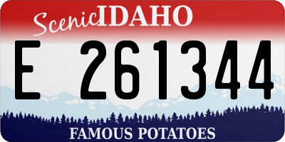 ID license plate E261344