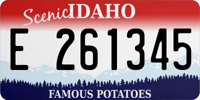 ID license plate E261345