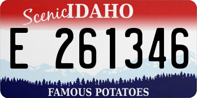 ID license plate E261346
