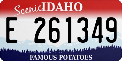 ID license plate E261349