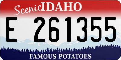 ID license plate E261355