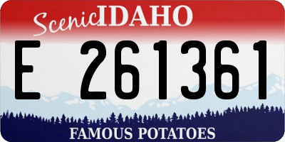 ID license plate E261361
