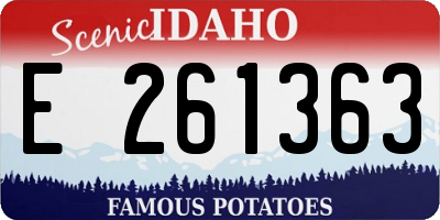 ID license plate E261363