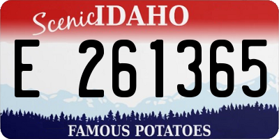 ID license plate E261365