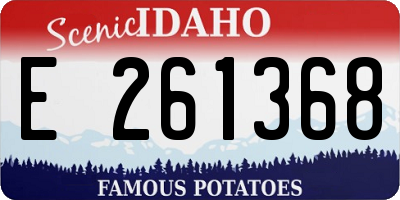 ID license plate E261368
