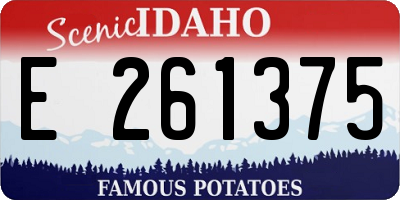 ID license plate E261375